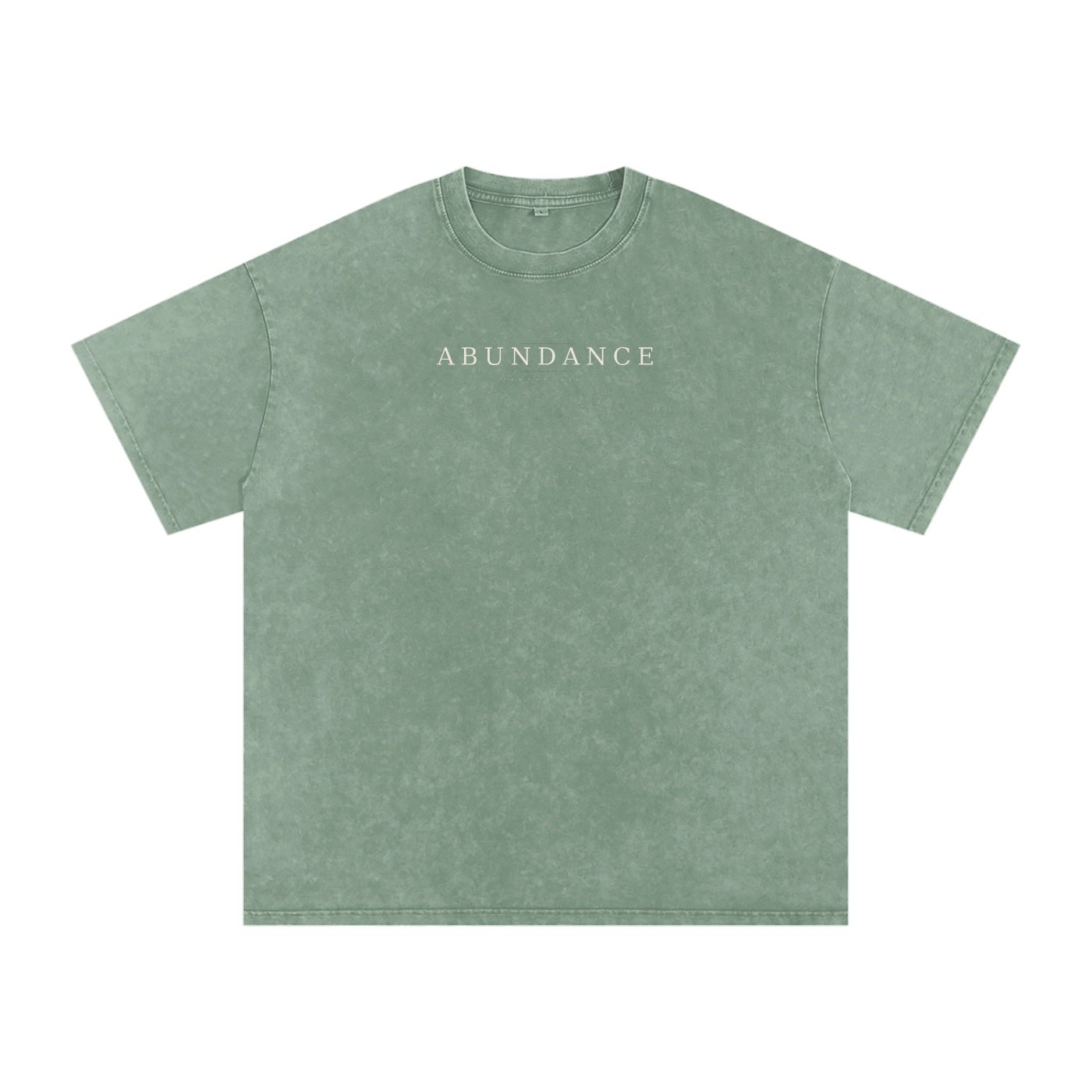 Abundance Perspective Snow-Washed Oversized Cotton Tee - Image 13