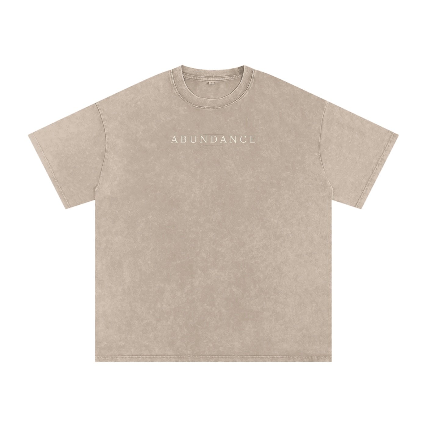 Abundance Perspective Snow-Washed Oversized Cotton Tee - Image 5