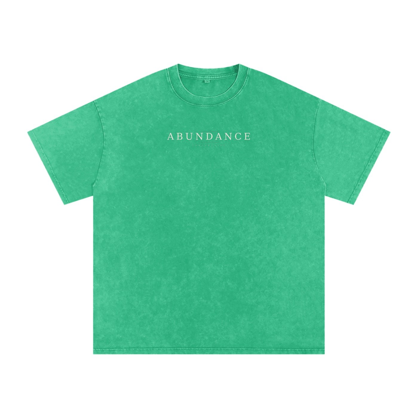 Abundance Perspective Snow-Washed Oversized Cotton Tee - Image 7