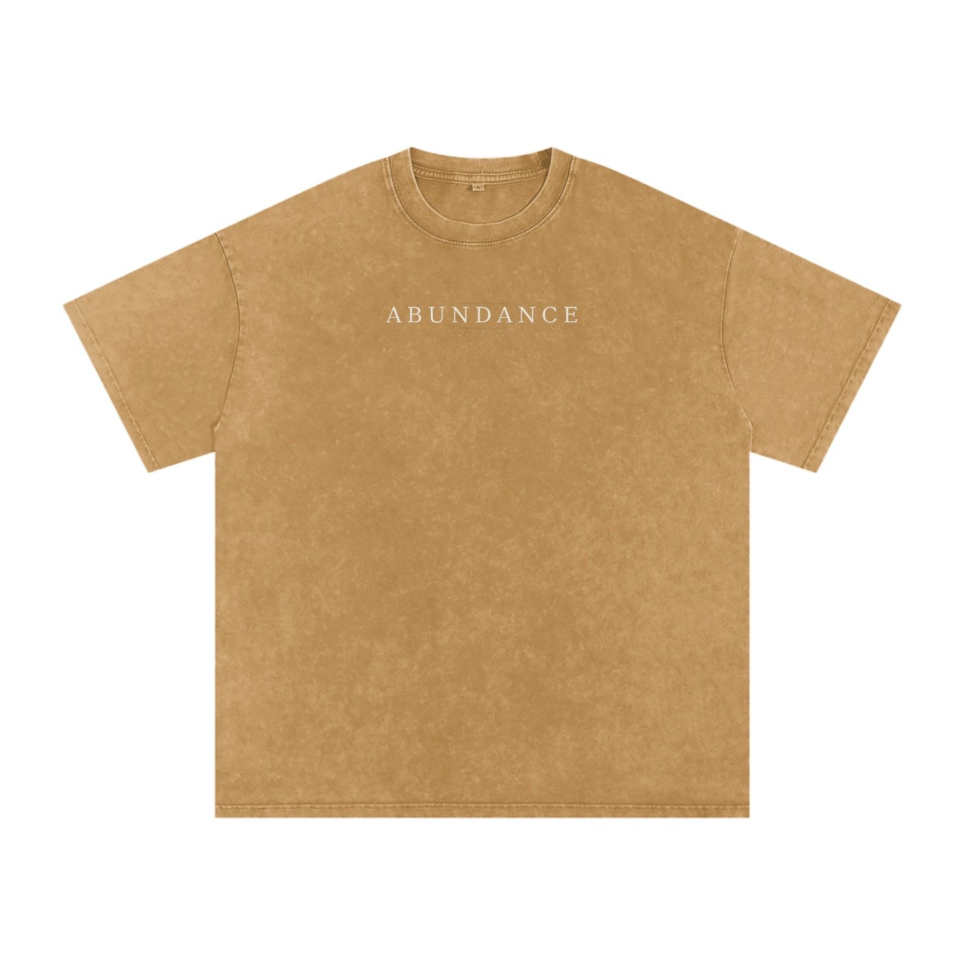 Abundance Perspective Snow-Washed Oversized Cotton Tee - Image 15