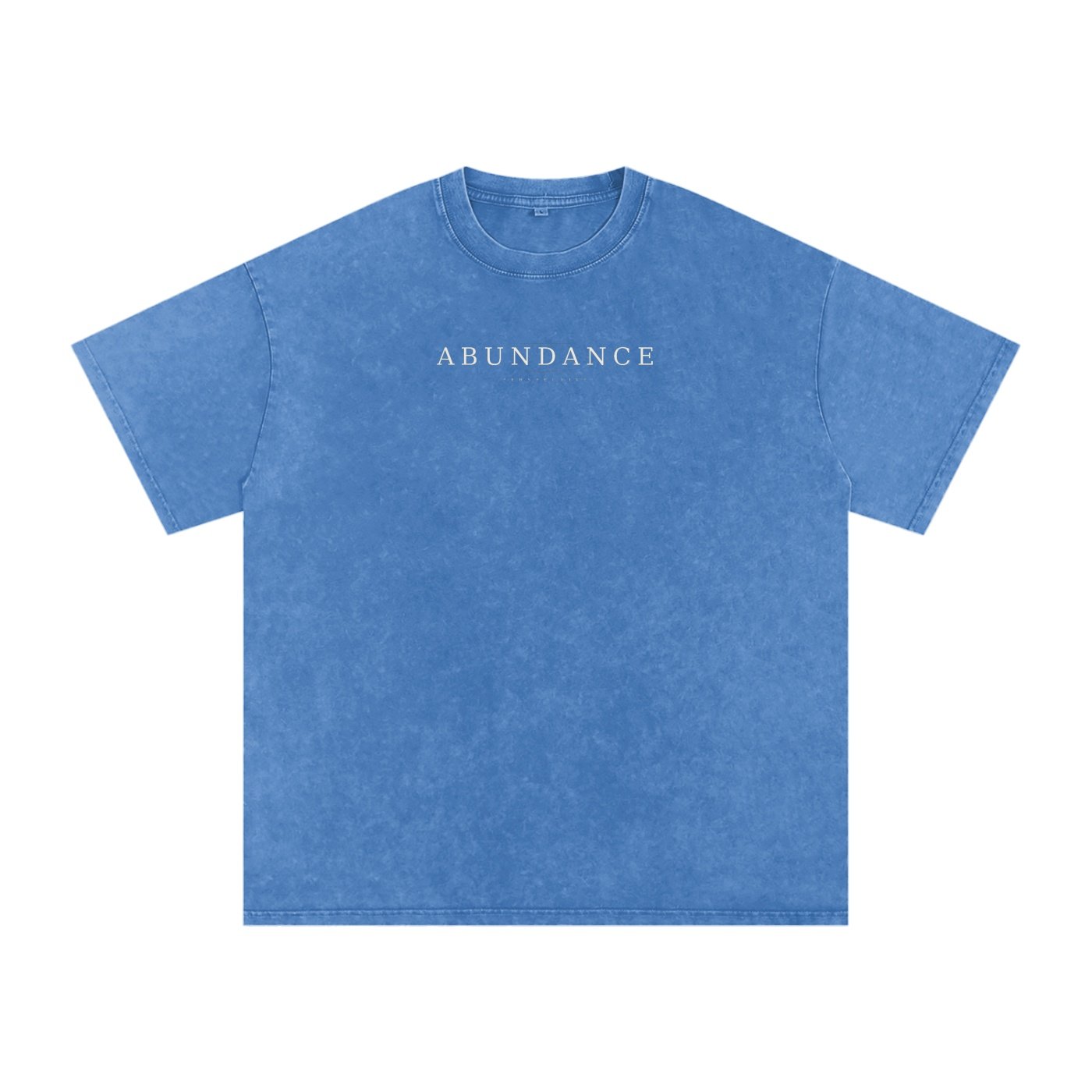 Abundance Perspective Snow-Washed Oversized Cotton Tee - Image 9