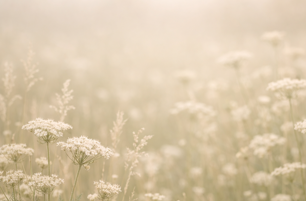 Flourish Mindset: How to Practice It Every Day