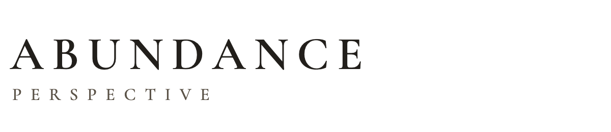 abundanceperspective.com